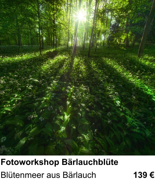 Vielseitiger Fotoworkshop rund um Fotoworkshop Bärlauchblüte: Blütenmeer aus Bärlauch
