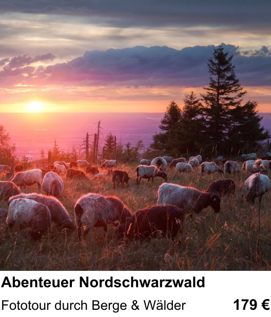 Vielseitiger Fotoworkshop rund um Abenteuer Nordschwarzwald: Fototour durch Berge & Wälder