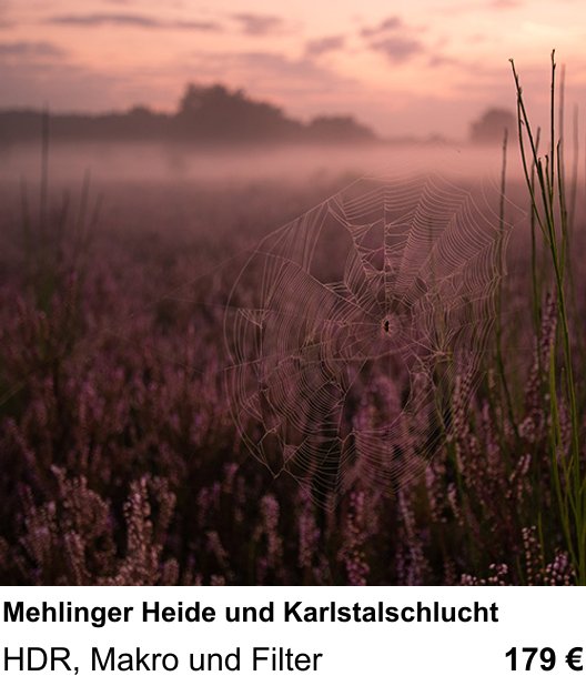 Vielseitiger Fotoworkshop rund um Mehlinger Heide und Karlstalschlucht: HDR, Makro und Filter
