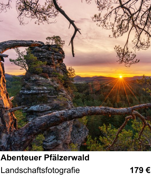Vielseitiger Fotoworkshop rund um Abenteuer Pfälzerwald: Landschaftsfotografie