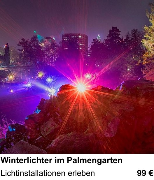 Vielseitiger Fotoworkshop rund um Winterlichter im Palmengarten: Lichtinstallationen erleben