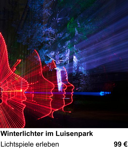 Vielseitiger Fotoworkshop rund um Winterlichter im Luisenpark: Lichtspiele erleben