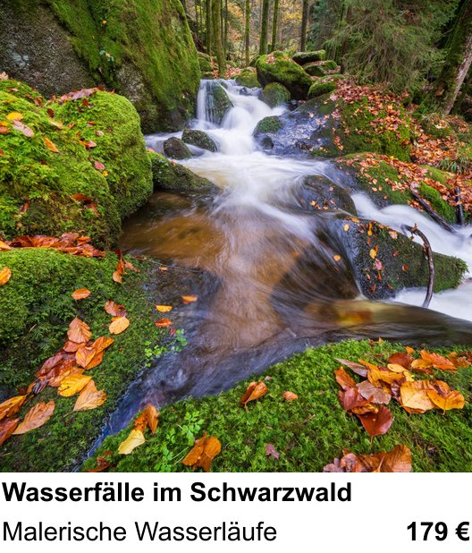 Vielseitiger Fotoworkshop rund um Wasserfälle im Schwarzwald: Malerische Wasserläufe