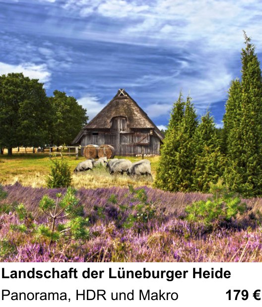 Vielseitiger Fotoworkshop rund um Landschaft der Lüneburger Heide: Panorama, HDR und Makro