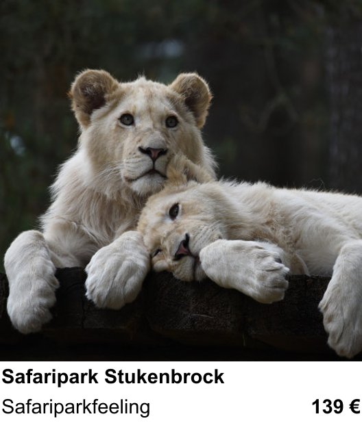 Vielseitiger Fotoworkshop rund um Safaripark Stukenbrock: Safariparkfeeling