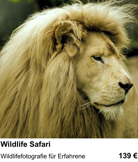 Fotoworkshop Stuttgart: Wildlifefotografie für Erfahrene mit Wildlife Safari